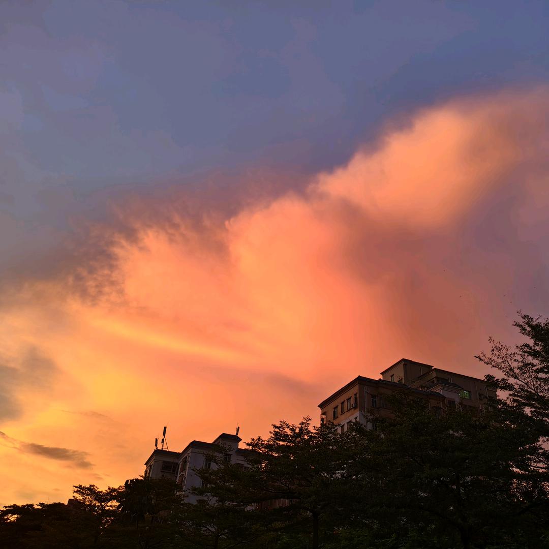 我的避风港