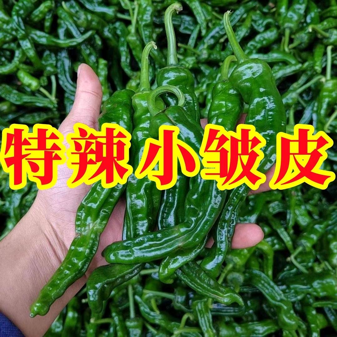 方圆农家土特产
