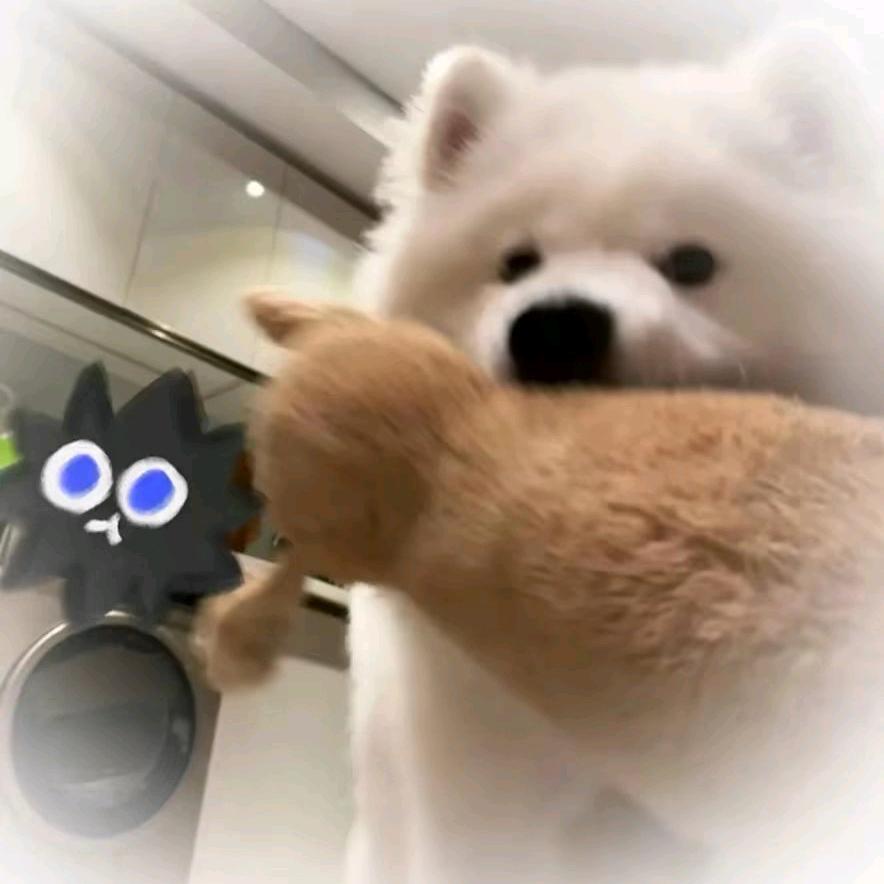 玲