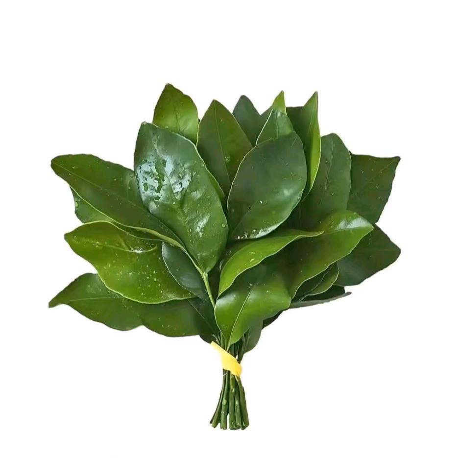 小啾啾🍀