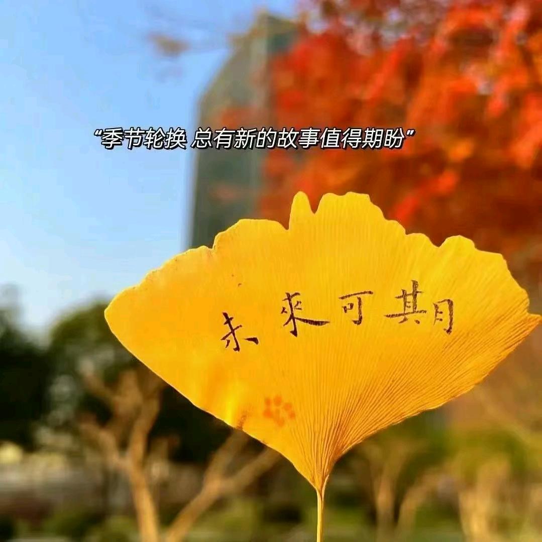 清风徐来℘࿐