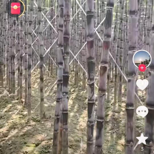 欢乐人生过好美一天