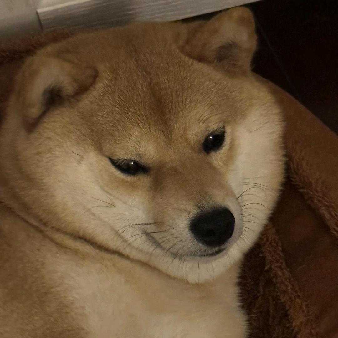 恰口奥立奥