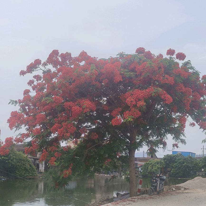 🍀᭄ℋ→宝ღ叔᭄💞/࿐