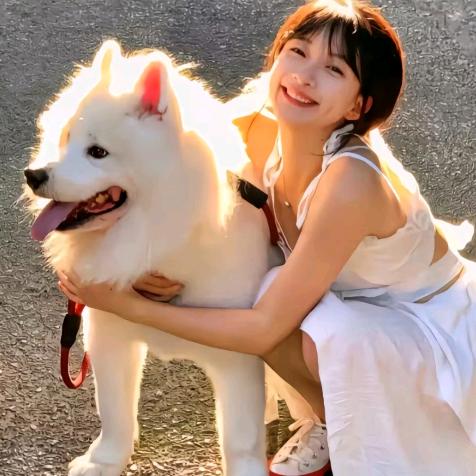 山楂味的山楂树