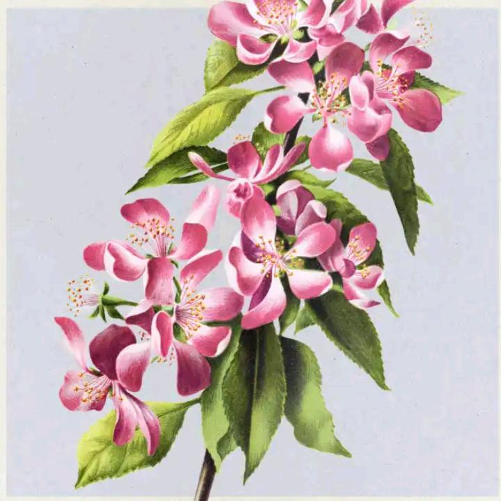 原来