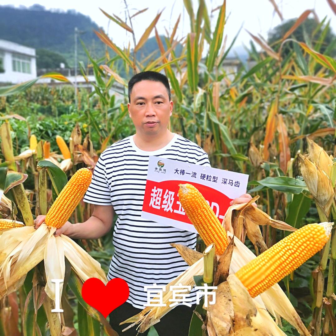 高县张毅农资经营服务部