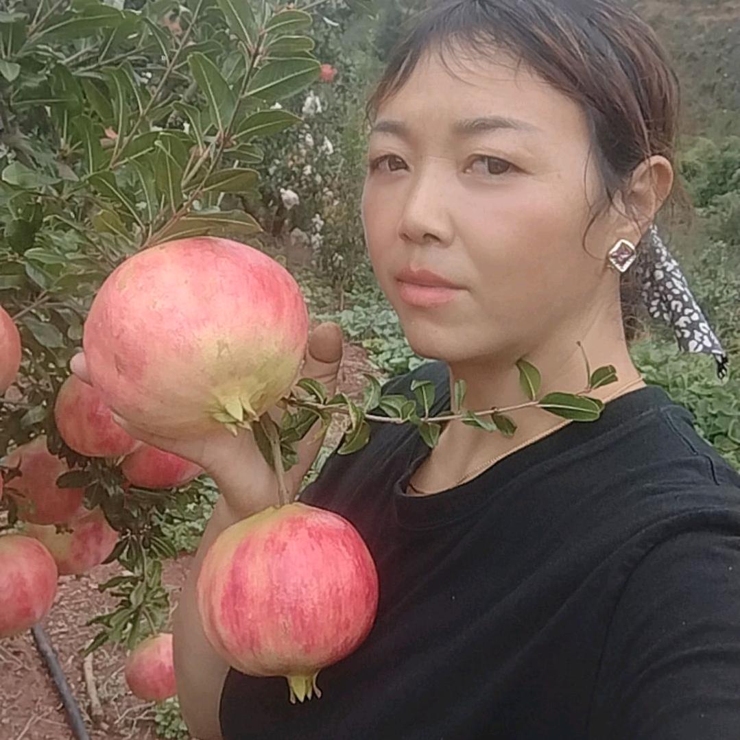 农村     果粒
