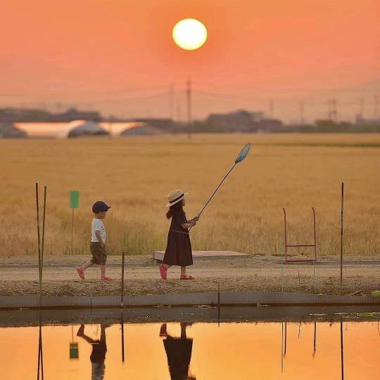 晨曦老师学习规划