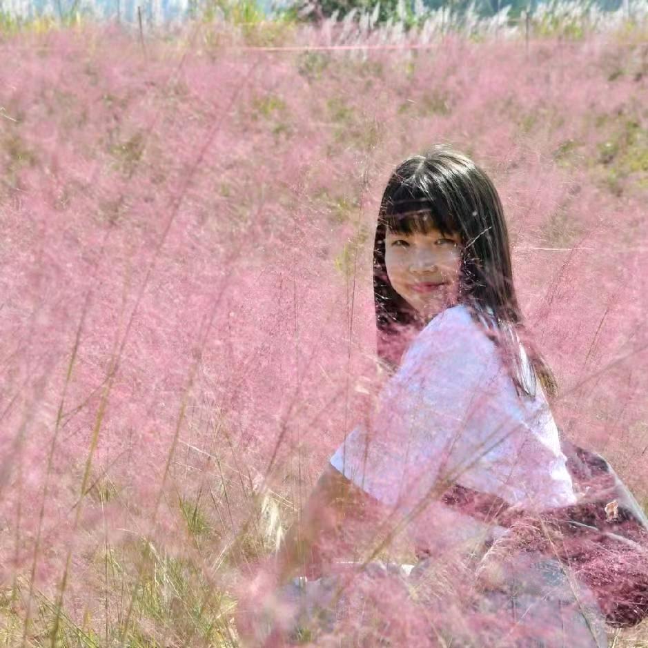 🎨画画的李老师