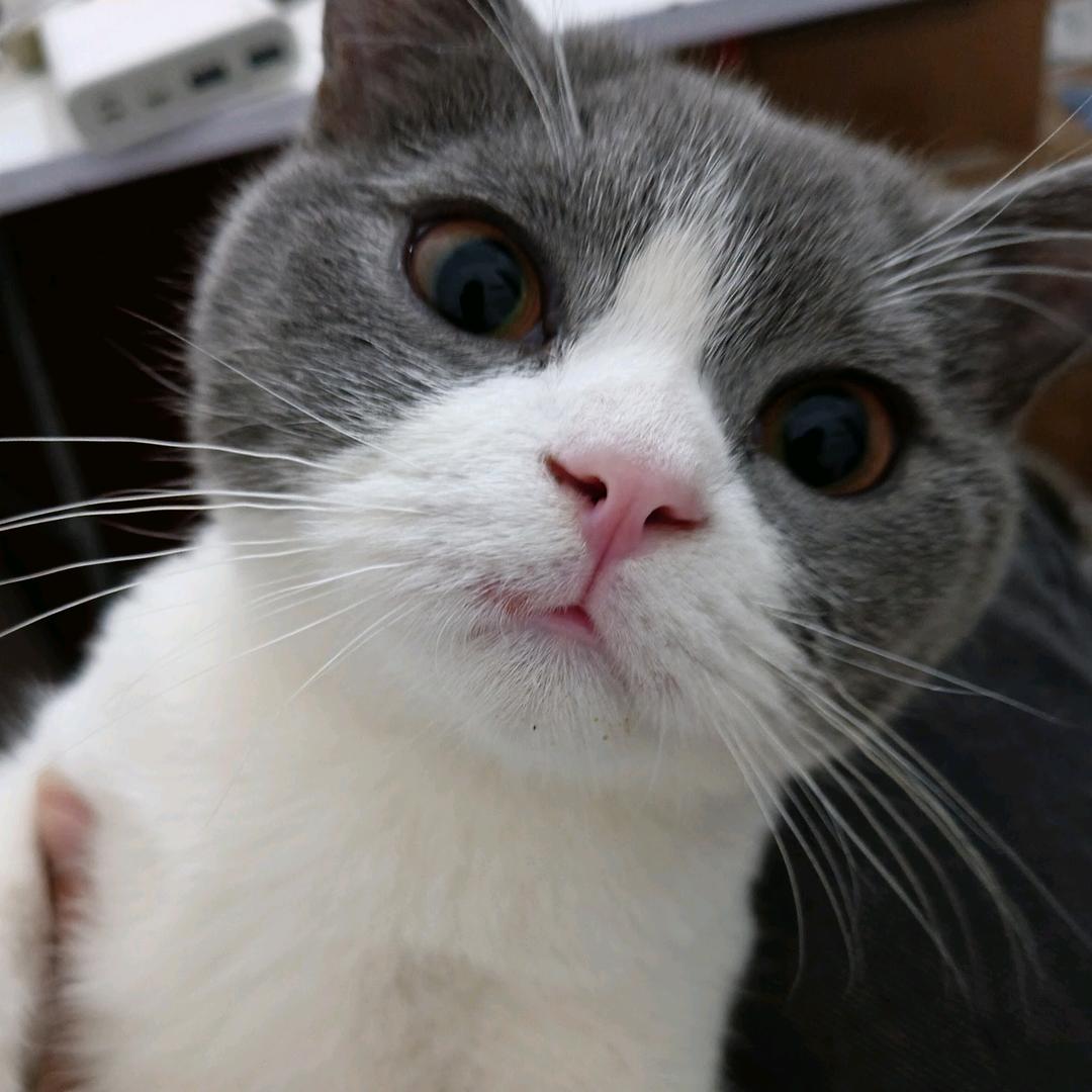 俞壹