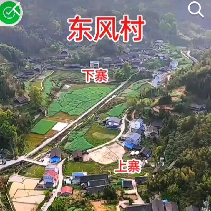 （天柱）龍