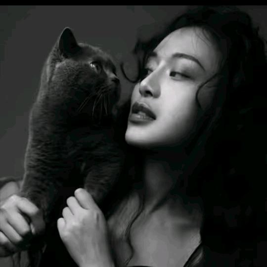 马乖（爆款返场）