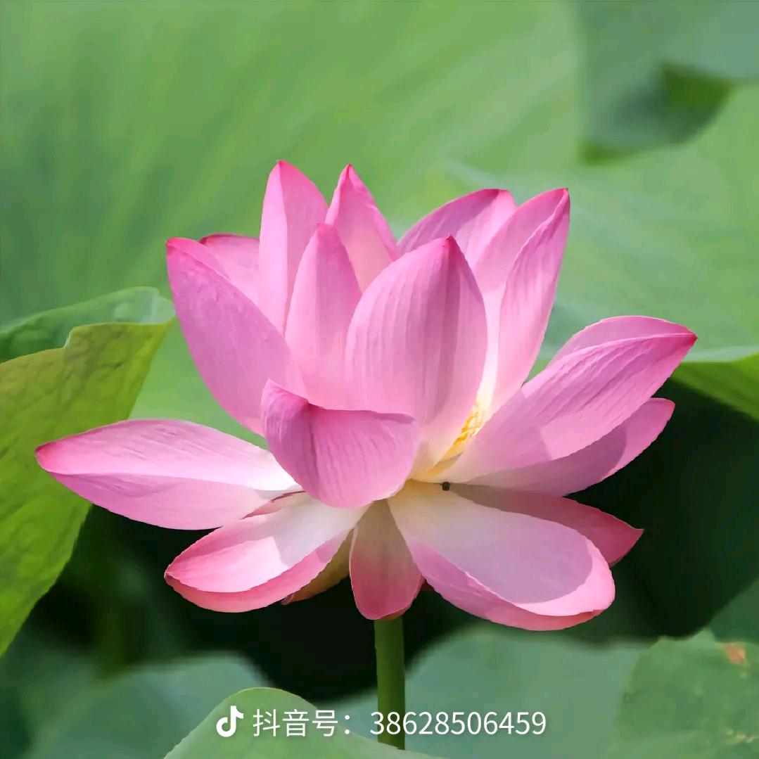 用户319（发财🔥711）