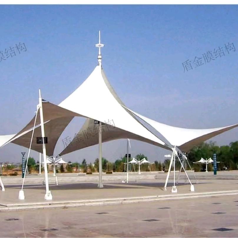 山东盾金膜结构工程公司