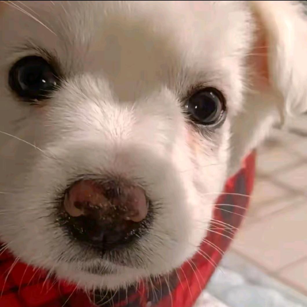 阳光开朗大男孩