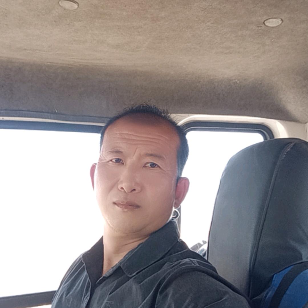 虎霸天下