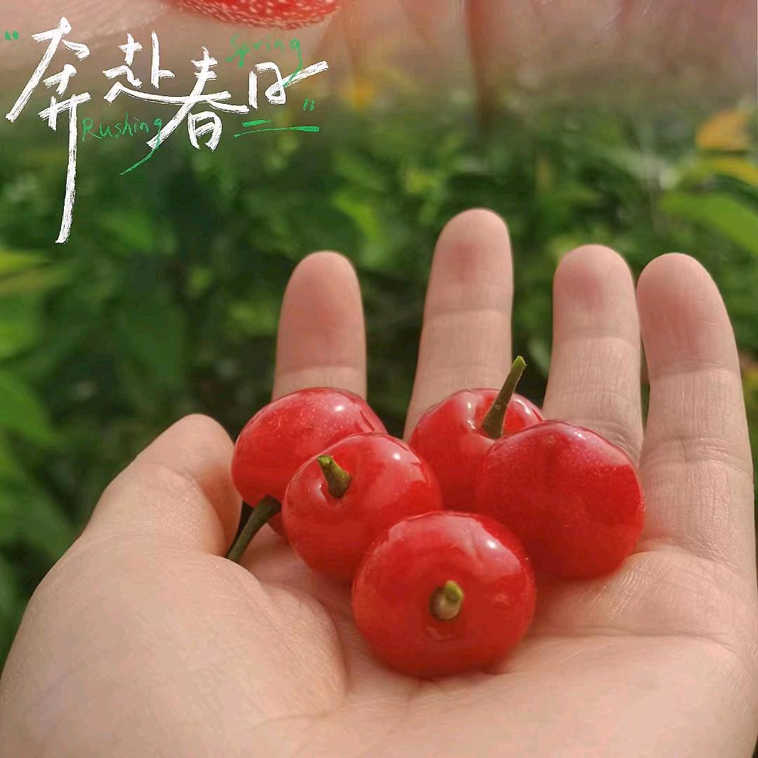 ♥梨涡浅笑♥