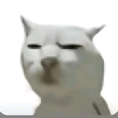 嘿嘿嘿嘿嘿嘿