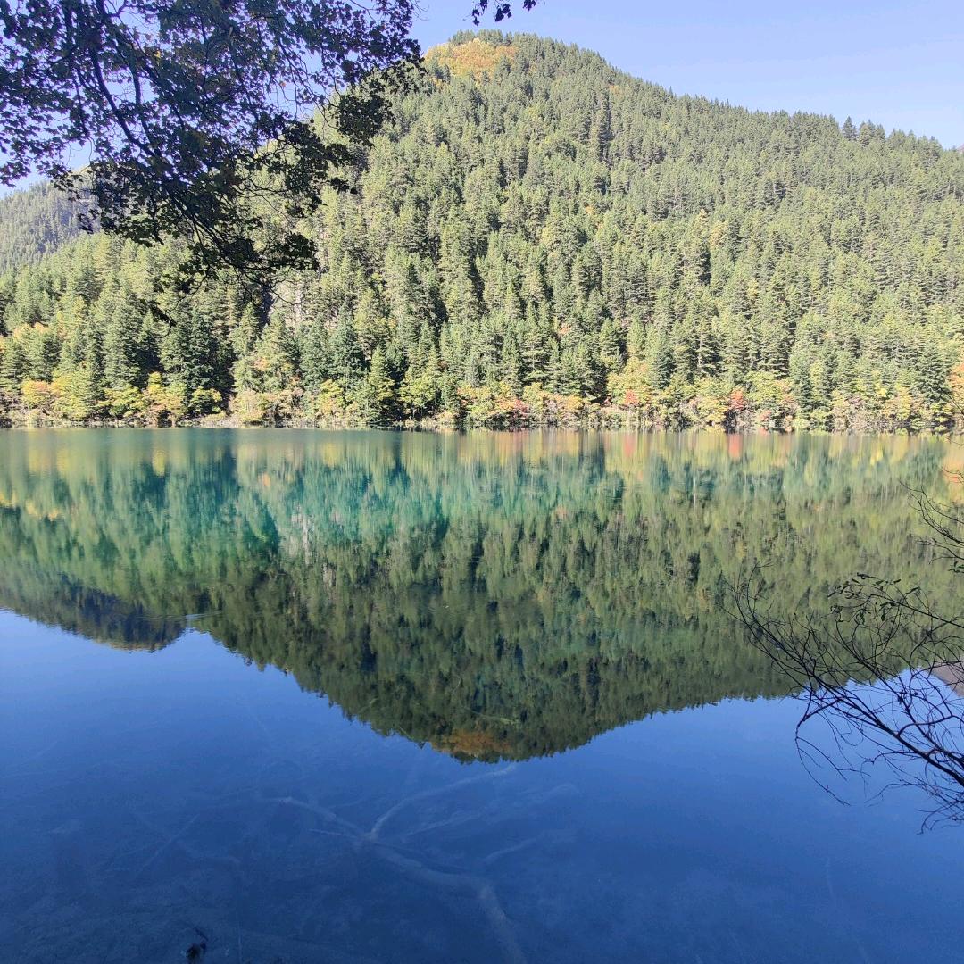 穿过竹林的悠闲