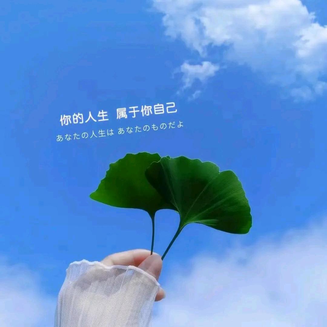 云南人力小娟