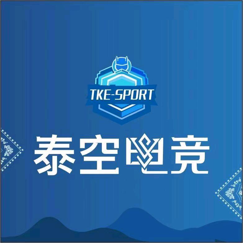 泰空电竞（徽县店）