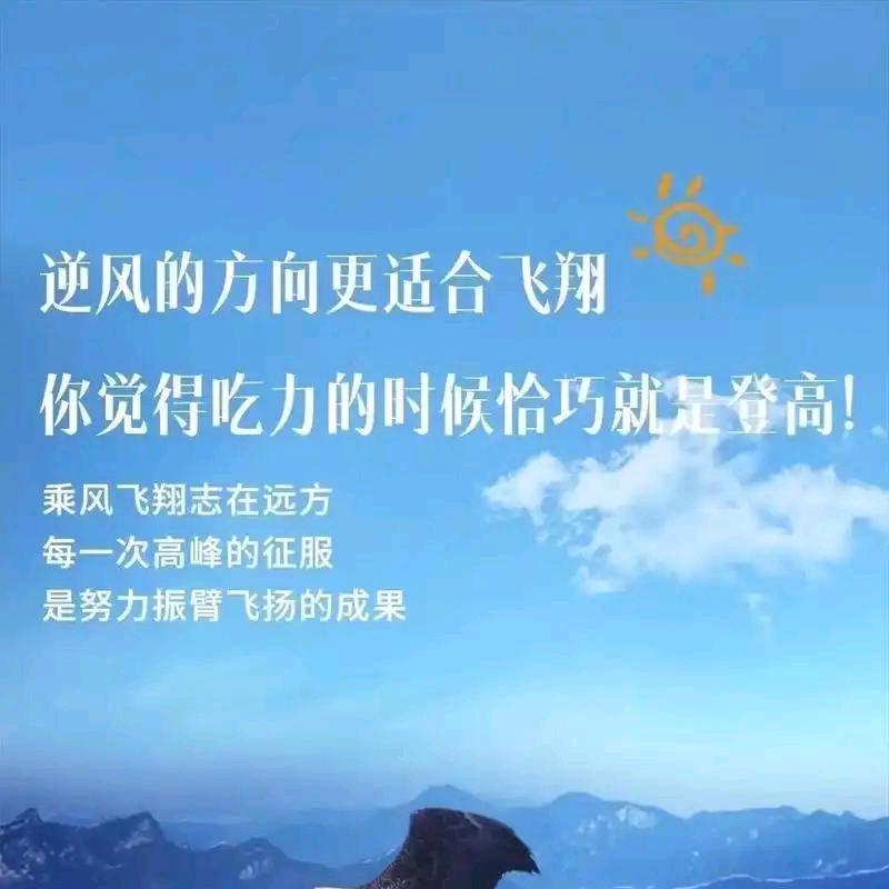 逆风翱翔
