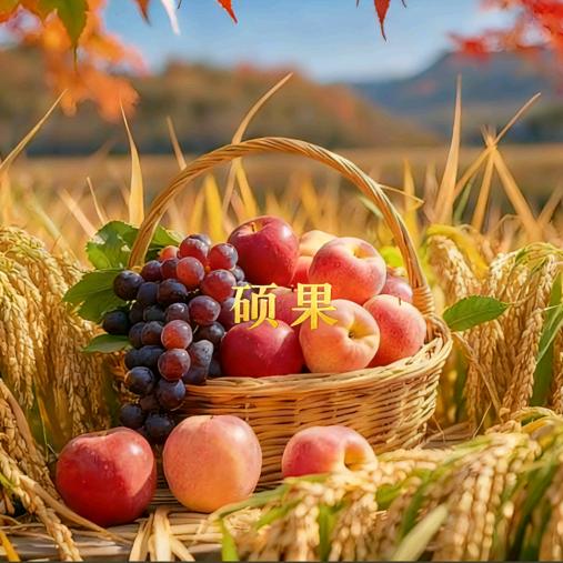 硕果丰收