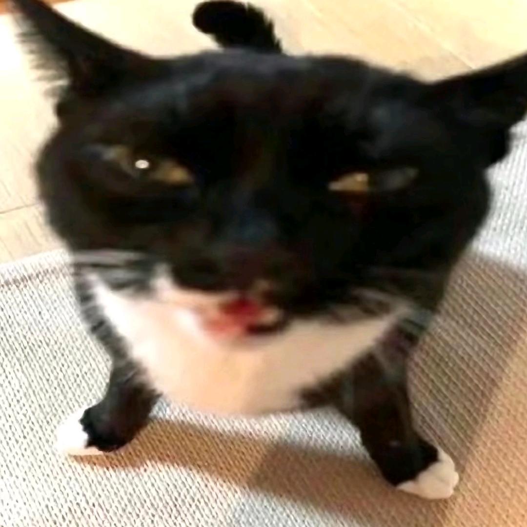 喜欢看长的丑的
