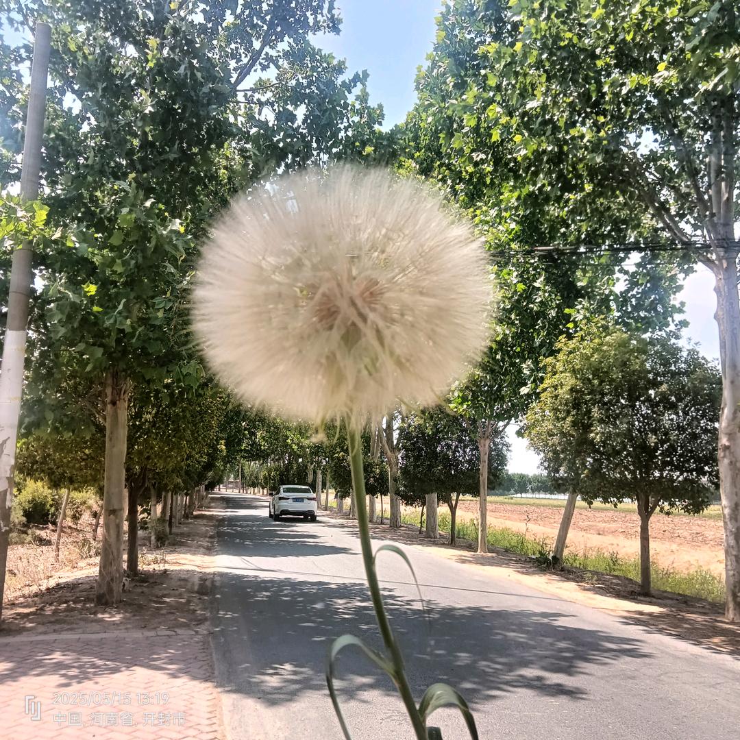 香香姐