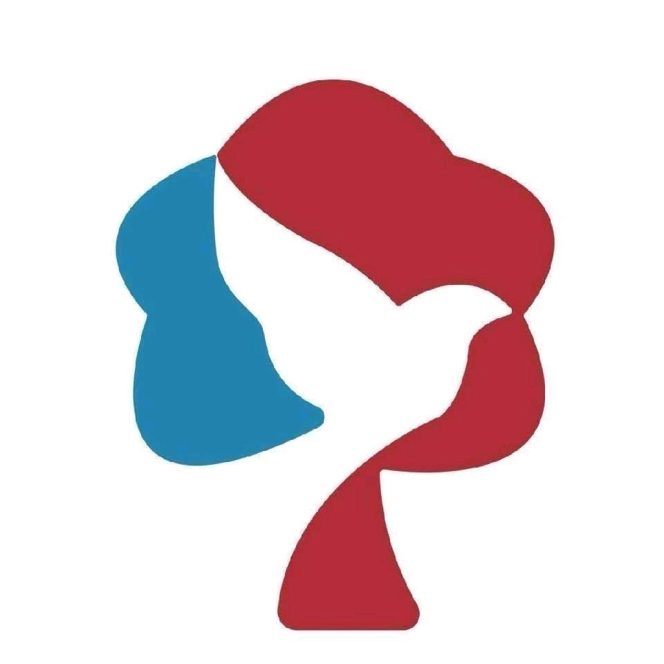 阿呆创业出海-tiktok娱乐直播