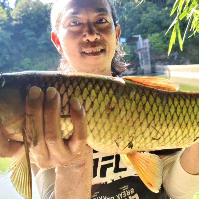 乡村华哥爱钓鱼