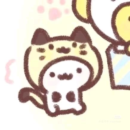 *  笨猫