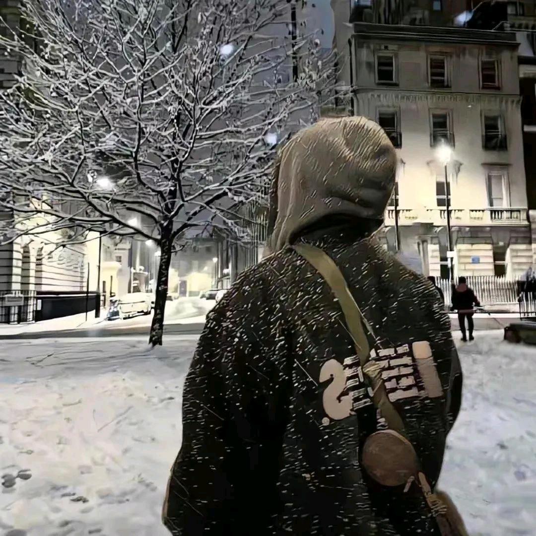 吃曲奇的饼干🍪