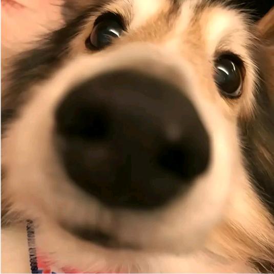 别看