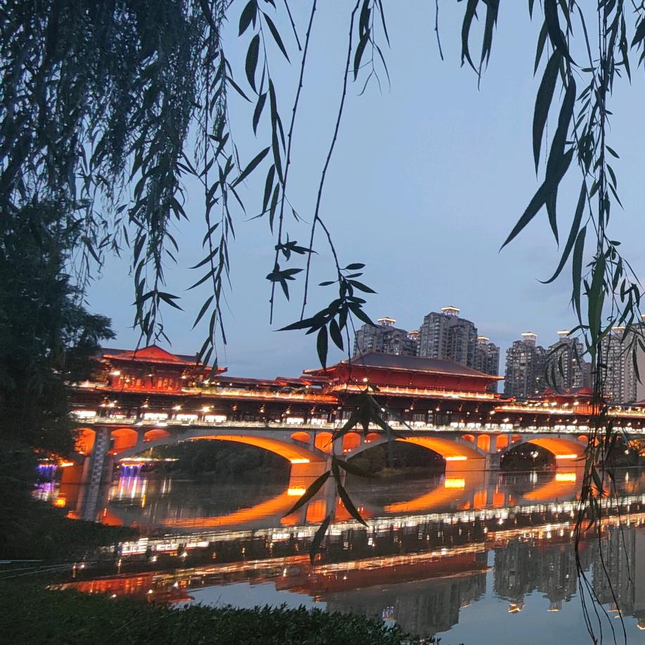 ʕ ᵔᴥ ᵔʔℒ❁释怀