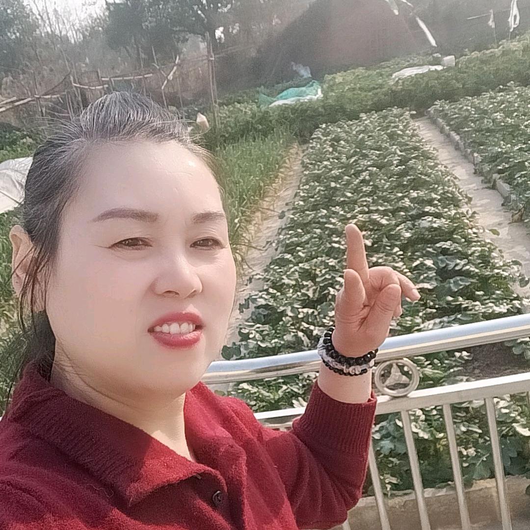汪姐