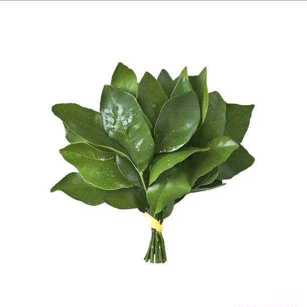 赵露思.