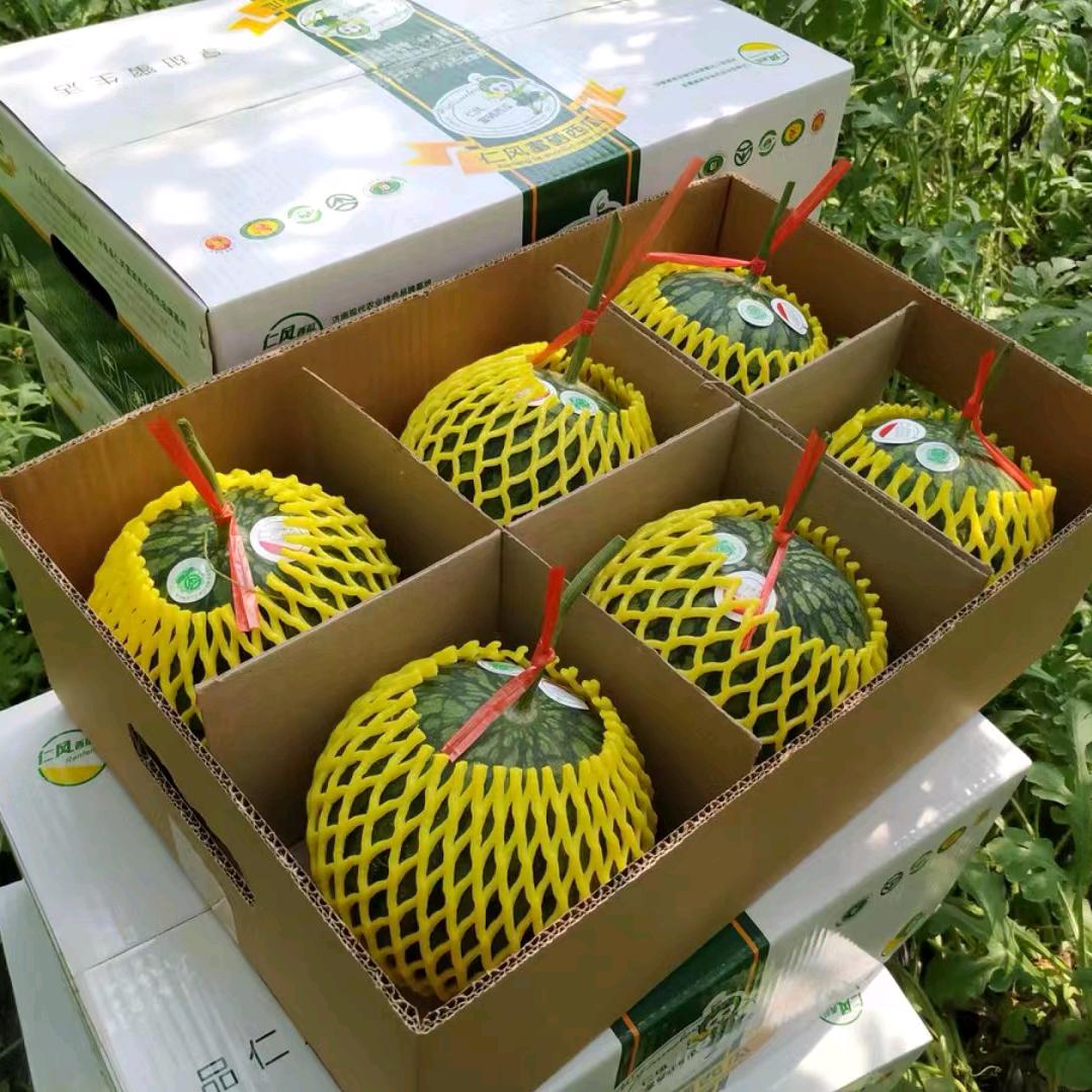 自种自销冰淇淋富硒西瓜果蔬农品