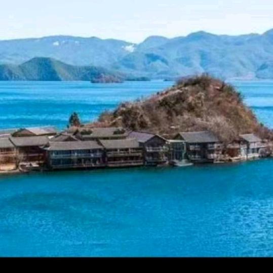 💫花海情缘💫