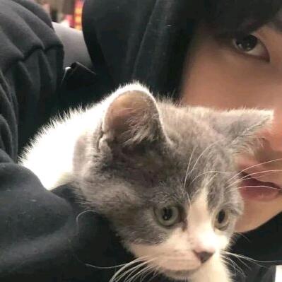 冰岛（三角洲行动）