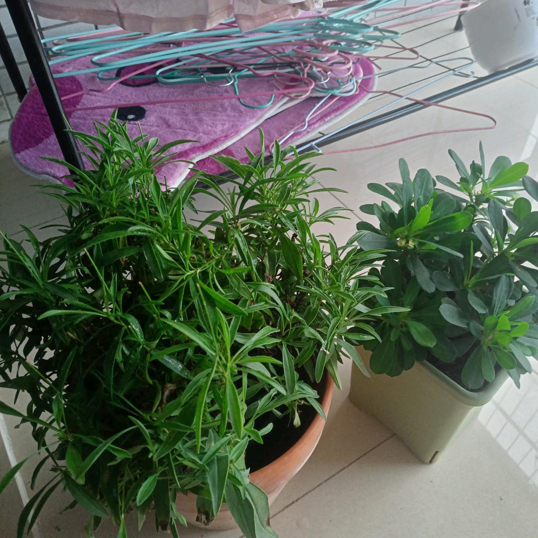 封心锁爱忘掉过去所有