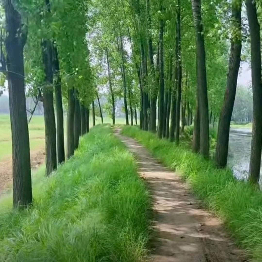 意海怀念