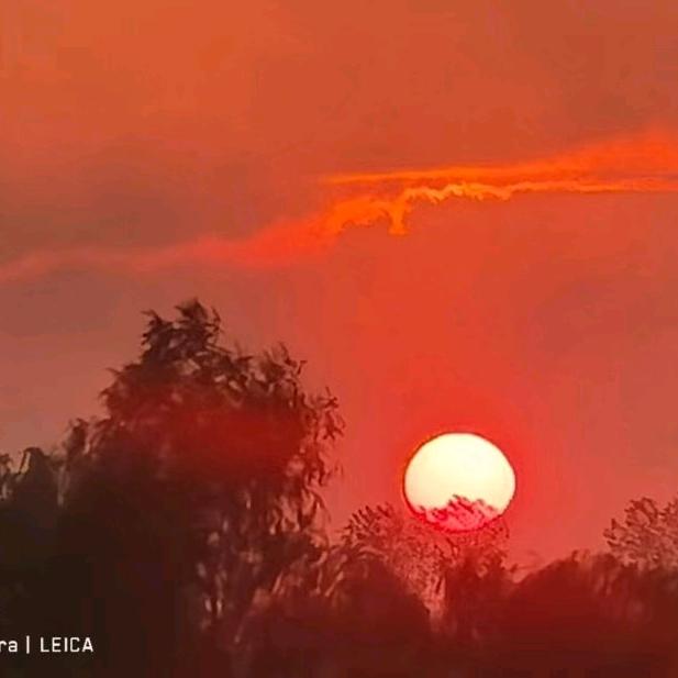 ✨☪️悲欢dei自渡↩️