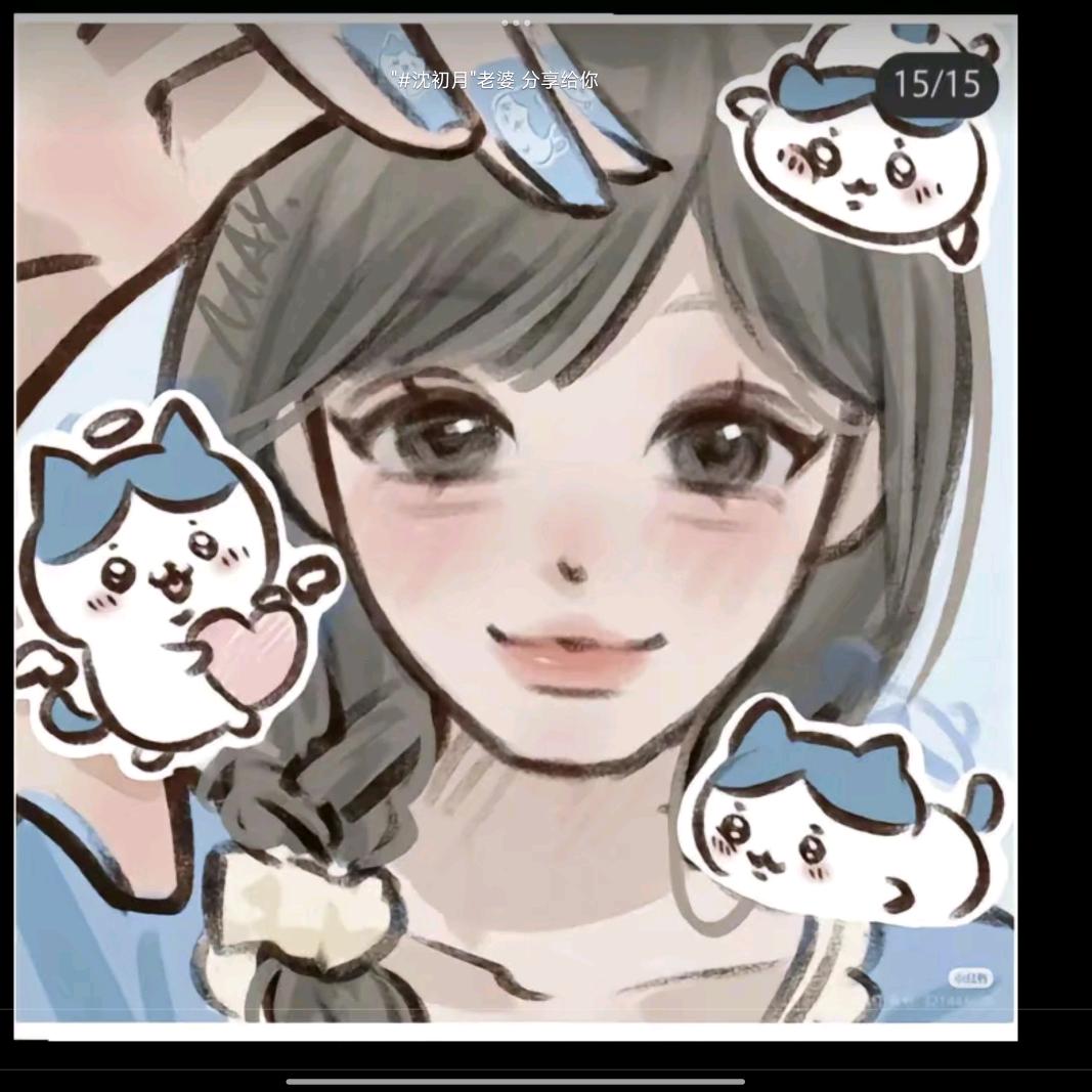 小猫乖乖