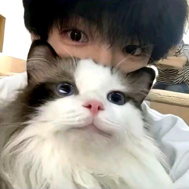 123这个名字怎么起不了