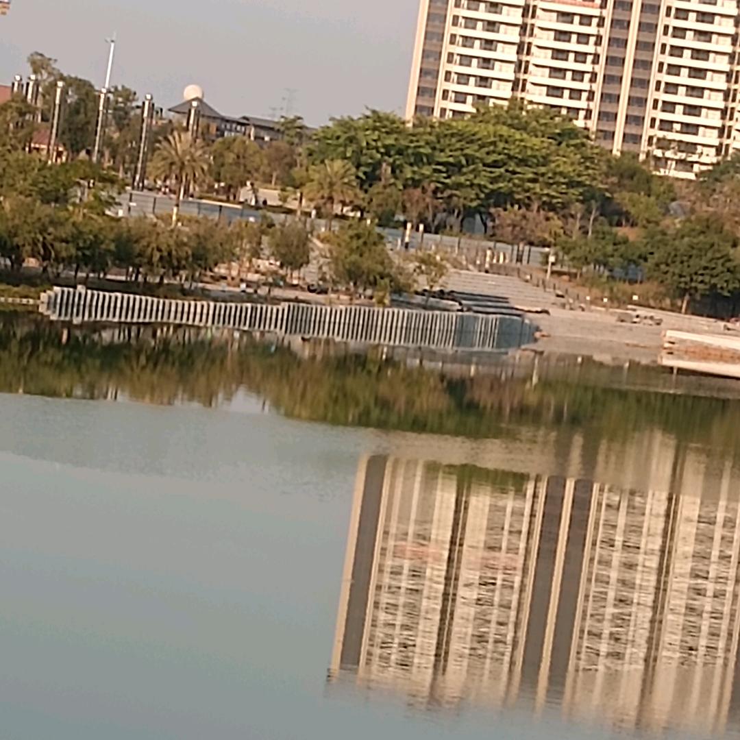 心伤透的刺猬