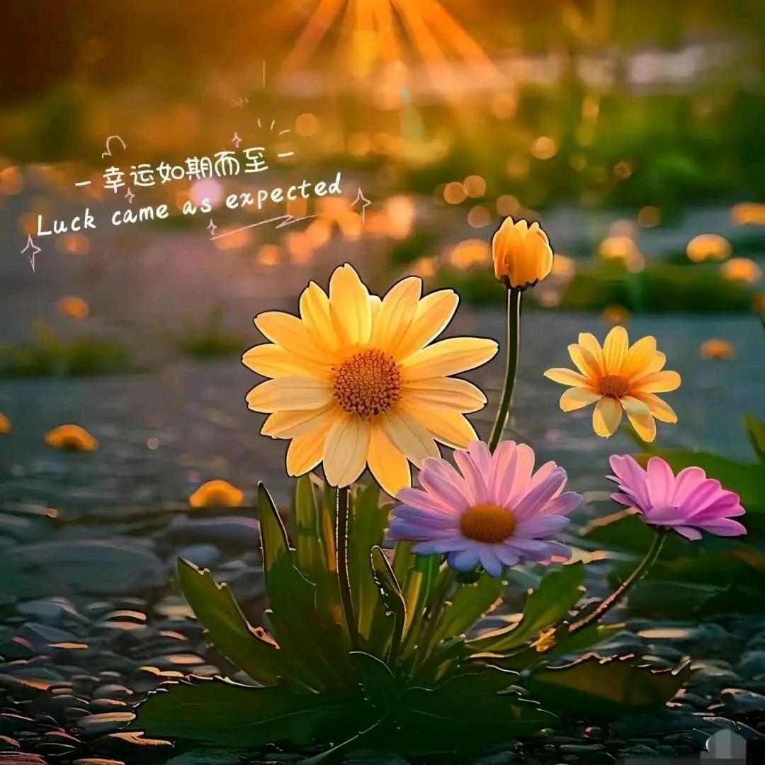 遗失的美好
