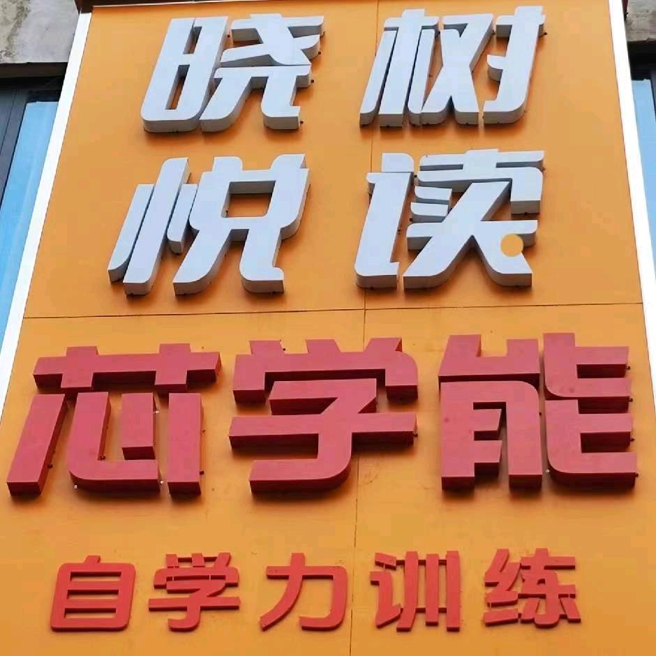 芯学能自学力训练晓树悦读