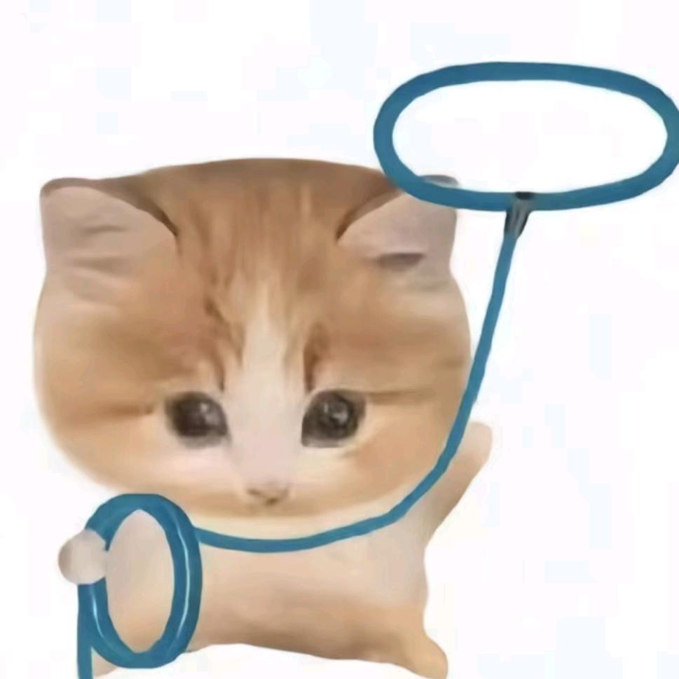 离婚五次只为找到最爱的